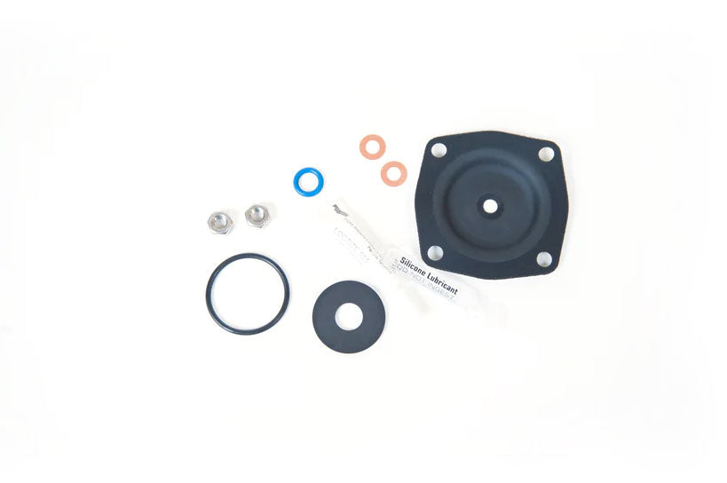 421RA Diaphragm & Seal Repair Kit